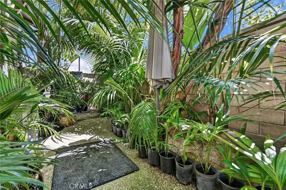 154 Via Galicia San Clemente, CA 92672