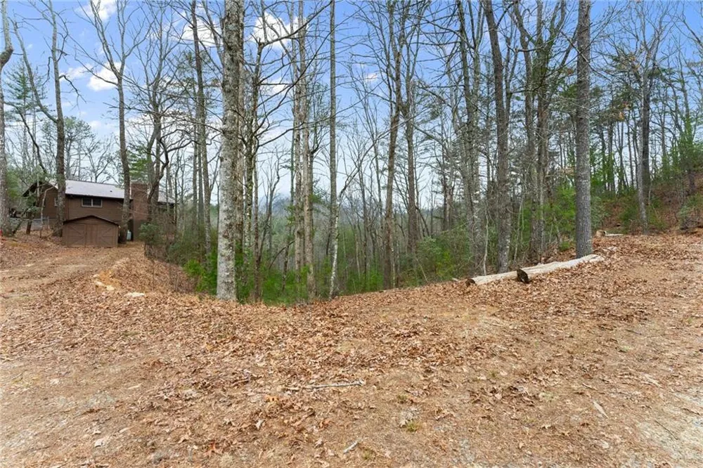 279 Cindy Cove Road Blairsville, GA 30512