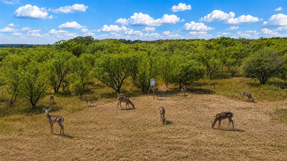 Bloodworth Road Bowie, TX 76230