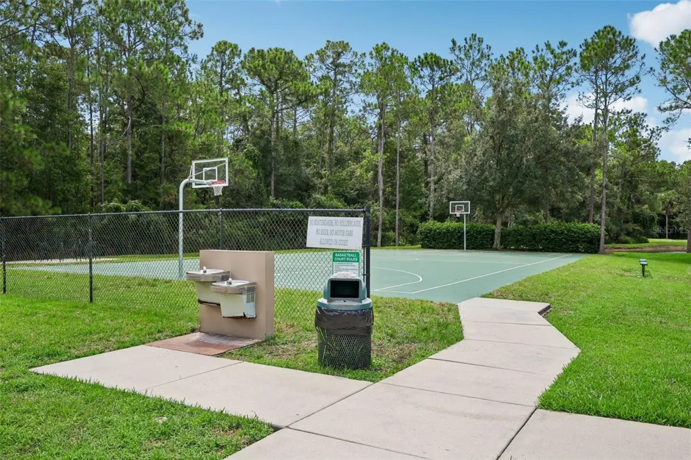 5854 COUNT TURF LANE Wesley Chapel, FL 33544
