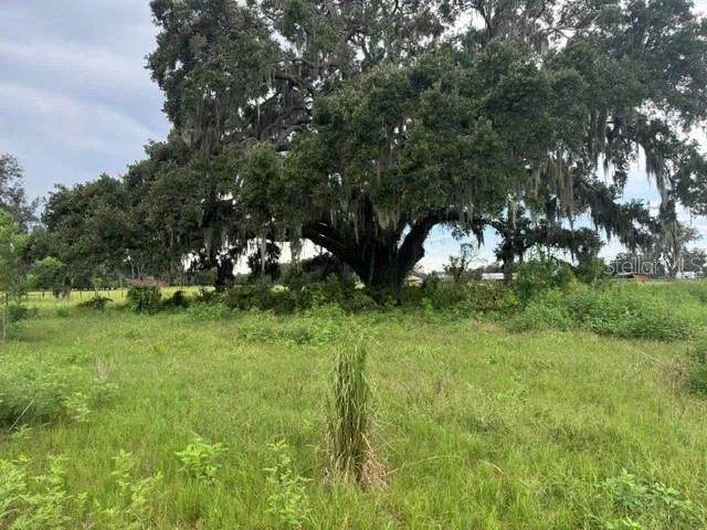 2231 CR 543 Sumterville, FL 33585