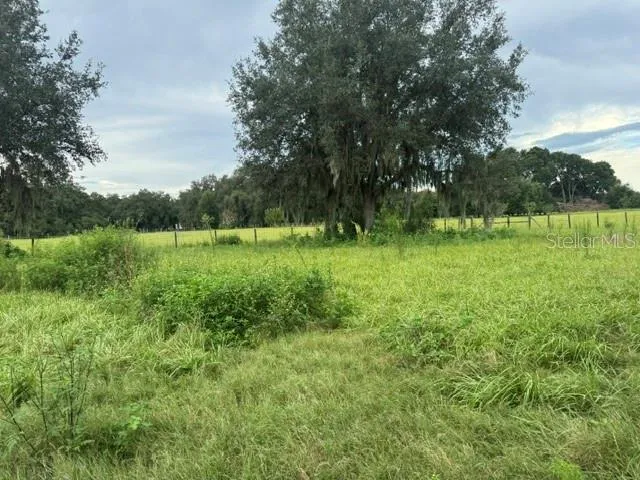 2231 CR 543 Sumterville, FL 33585