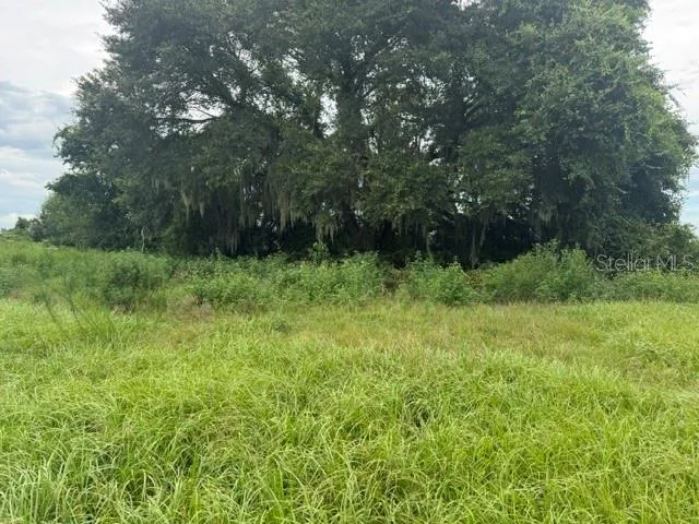 2231 CR 543 Sumterville, FL 33585