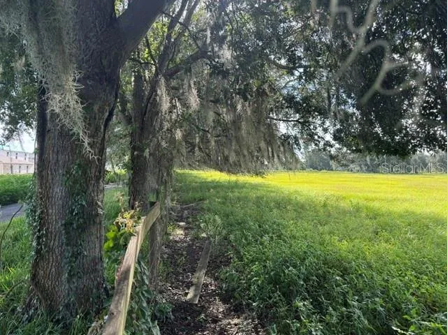2231 CR 543 Sumterville, FL 33585
