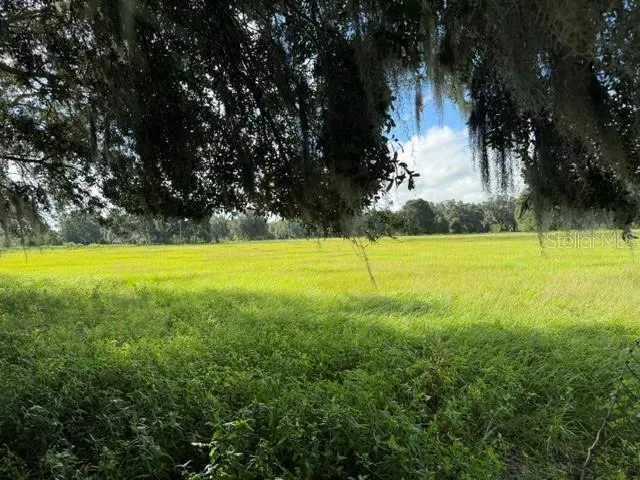 2231 CR 543 Sumterville, FL 33585