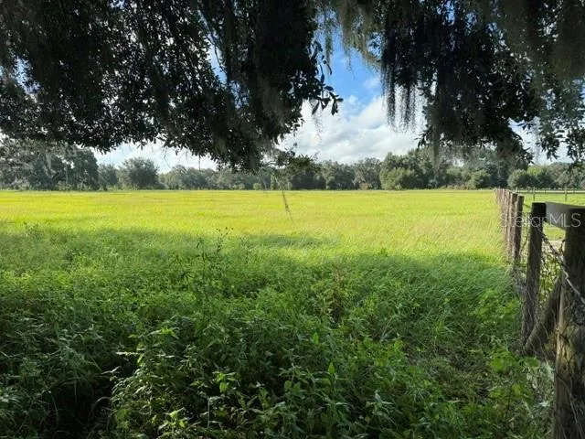 2231 CR 543 Sumterville, FL 33585
