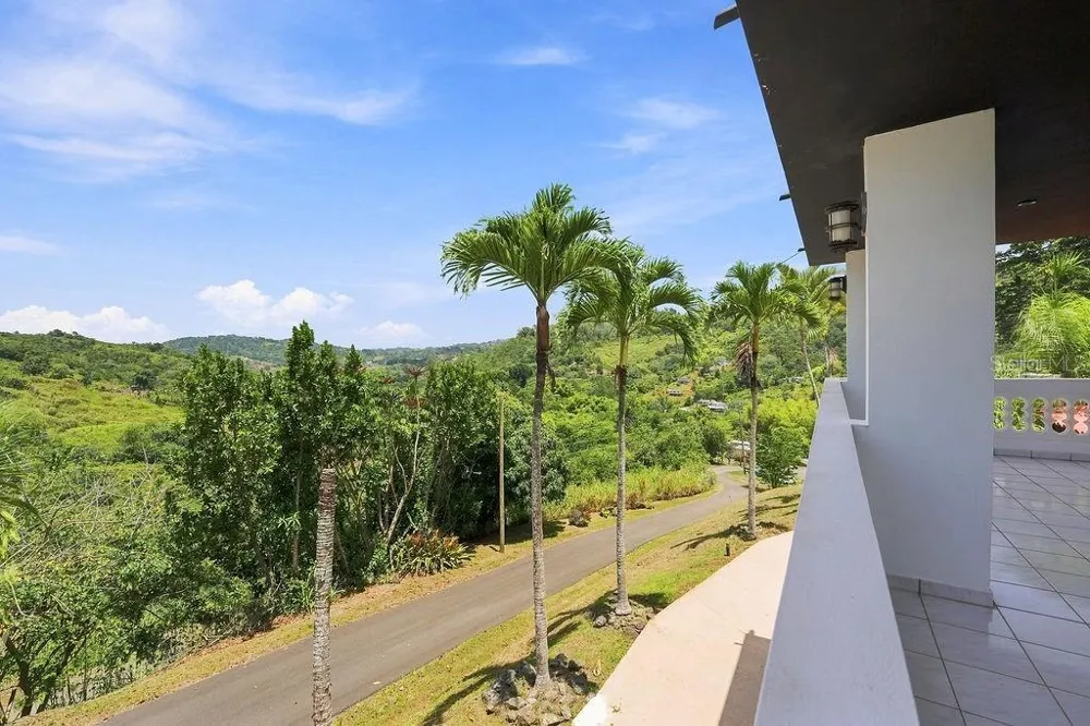 Barrio Mana CARR 802 KM 3.6 MANA WARD Corozal, PR 00783