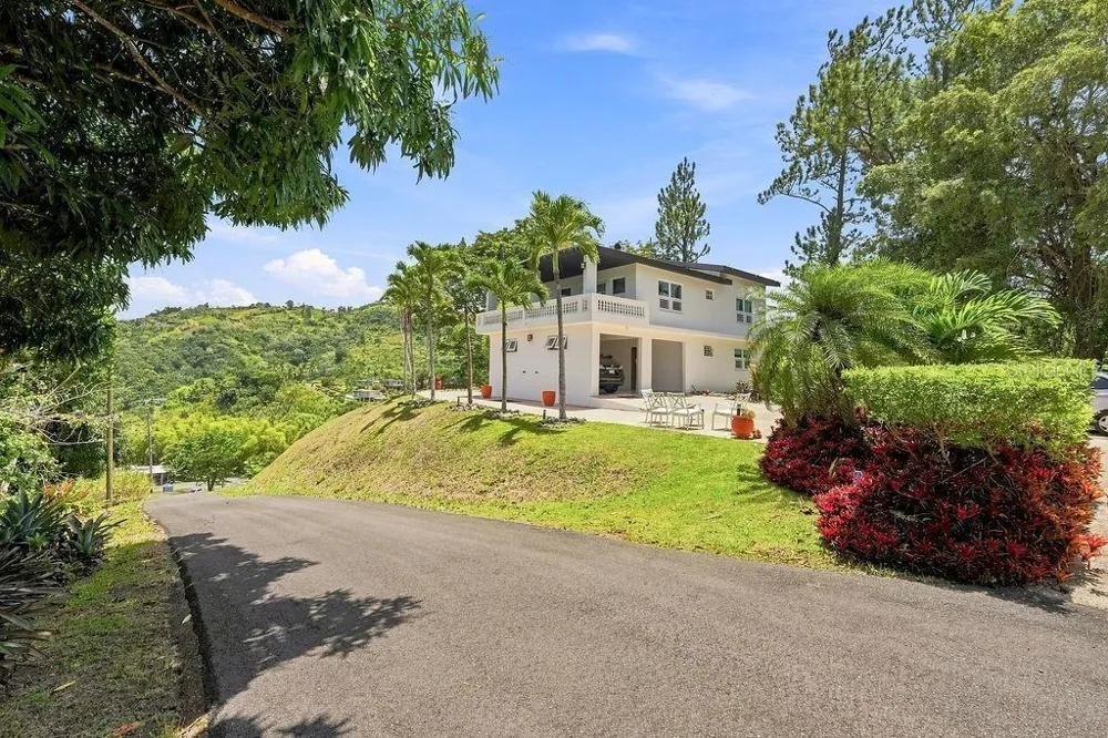 Barrio Mana CARR 802 KM 3.6 MANA WARD Corozal, PR 00783