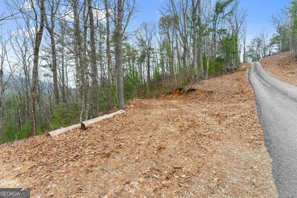279 Cindy Cove RD Blairsville, GA 30512