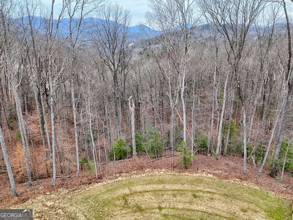 804 Settlers Ridge RD Ellijay, GA 30540