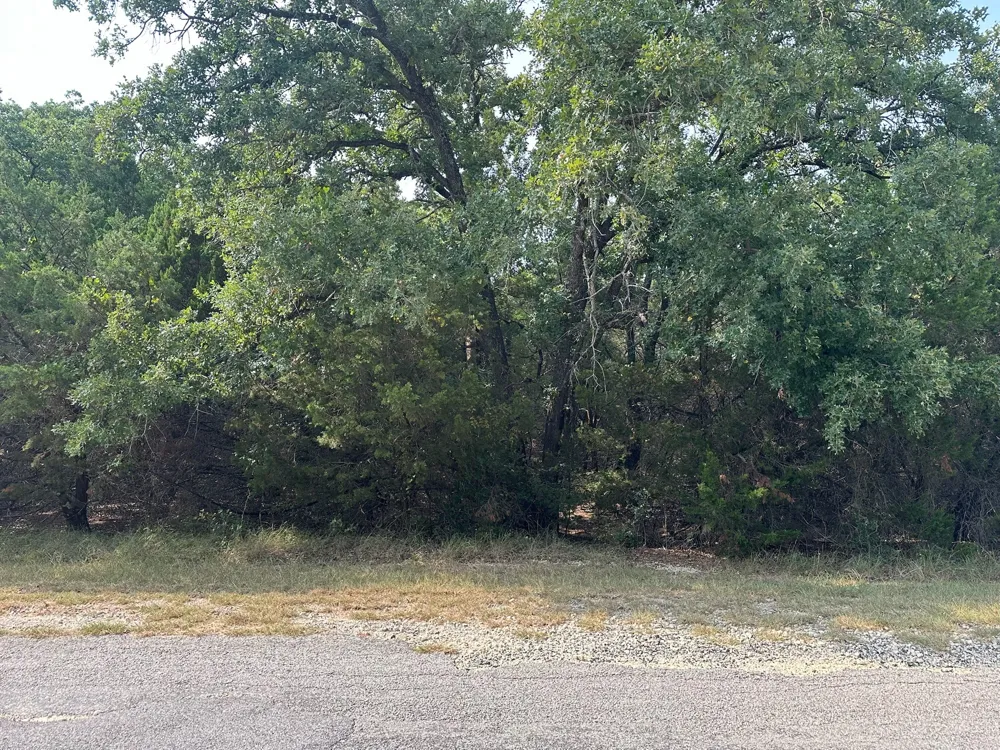 18038 Southhill Drive Whitney, TX 76692