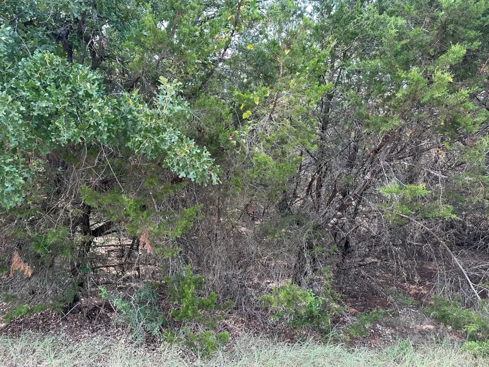 18038 Southhill Drive Whitney, TX 76692
