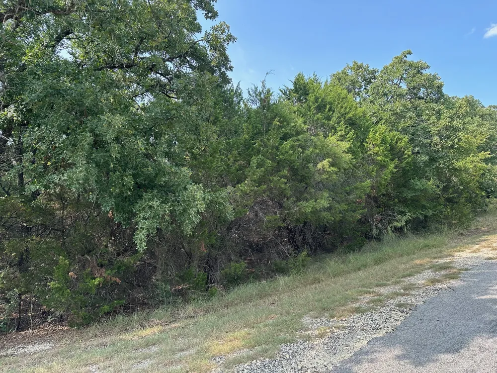 18038 Southhill Drive Whitney, TX 76692