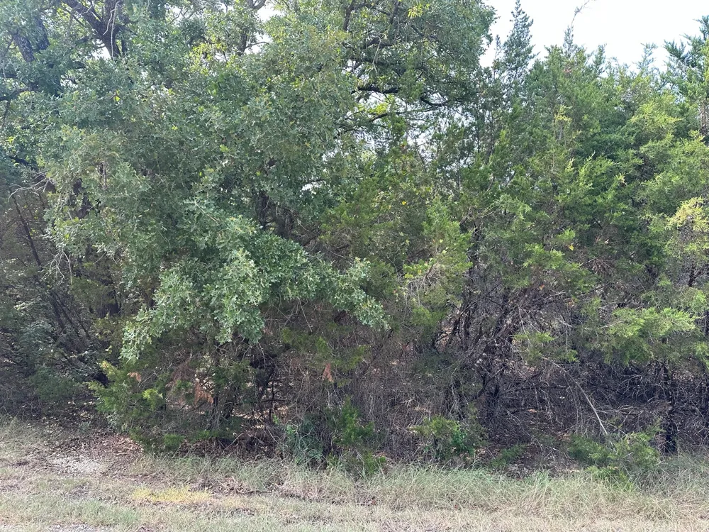 18038 Southhill Drive Whitney, TX 76692