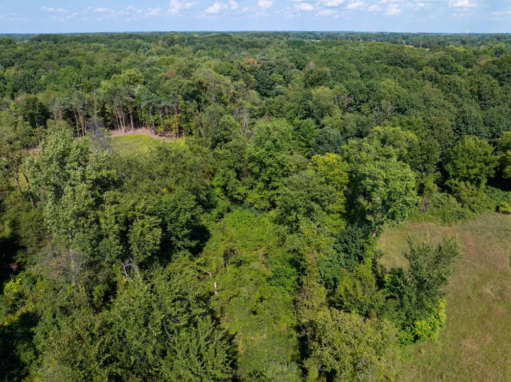 83 68th Avenue Allendale, MI 49401