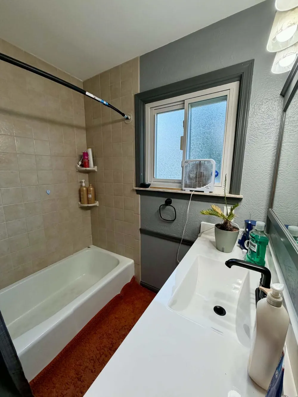 433 Harriet Avenue Delta Charter Township, MI 48917