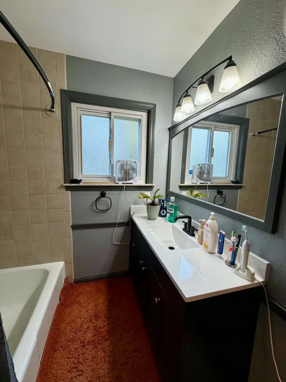 433 Harriet Avenue Delta Charter Township, MI 48917