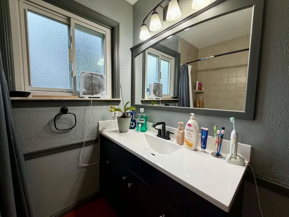 433 Harriet Avenue Delta Charter Township, MI 48917