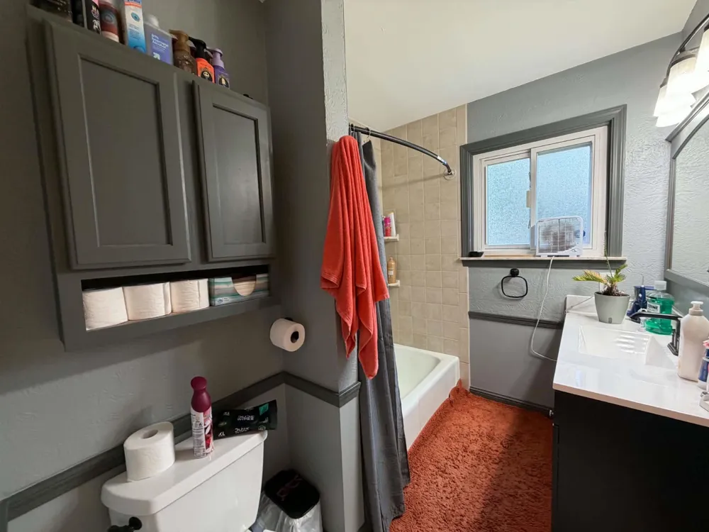 433 Harriet Avenue Delta Charter Township, MI 48917