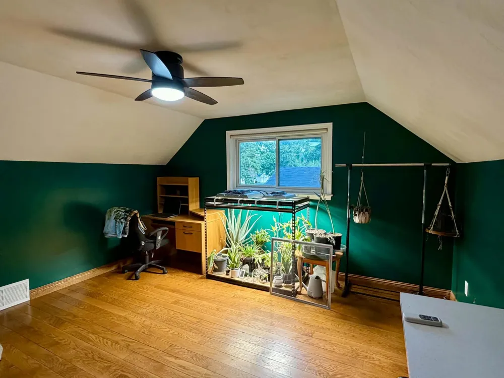 433 Harriet Avenue Delta Charter Township, MI 48917