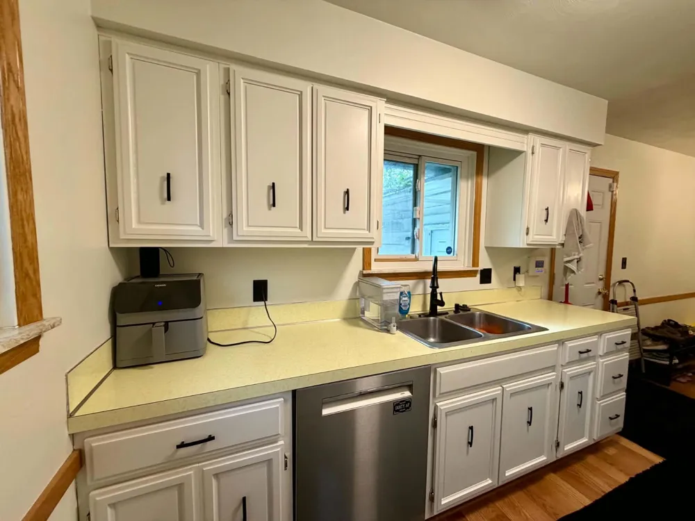 433 Harriet Avenue Delta Charter Township, MI 48917