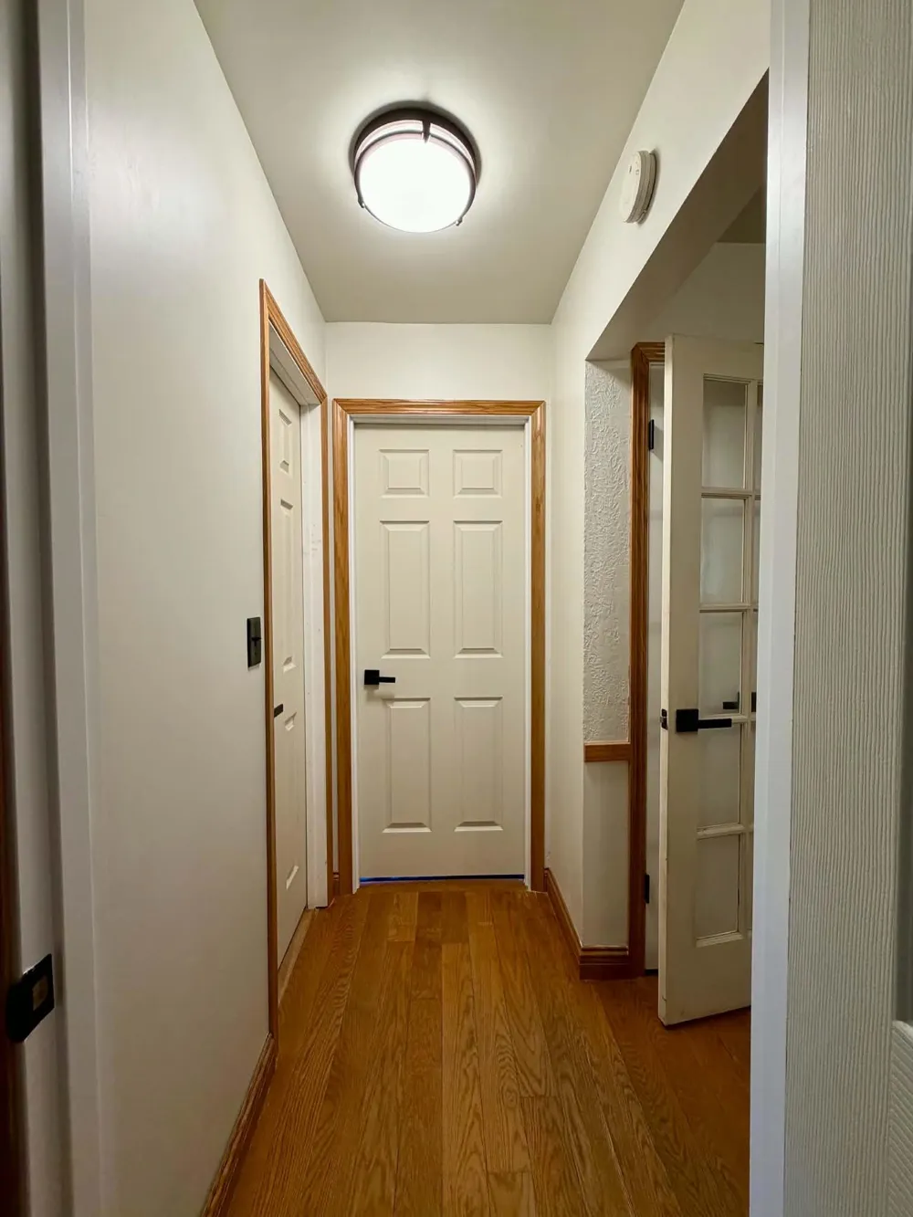 433 Harriet Avenue Delta Charter Township, MI 48917