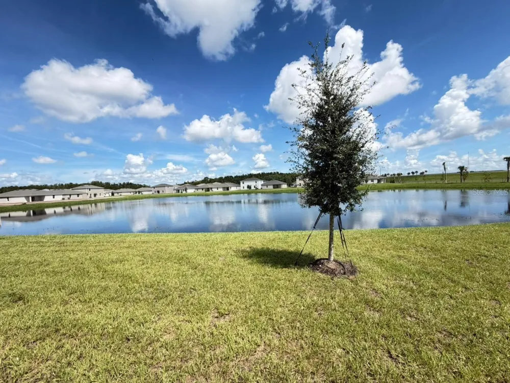 5423 CROWN POINT ROAD Kissimmee, FL 34758