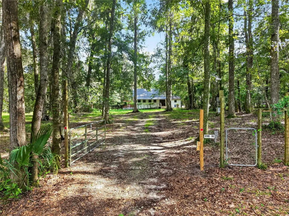 9350 NW 230 STREET Micanopy, FL 32667