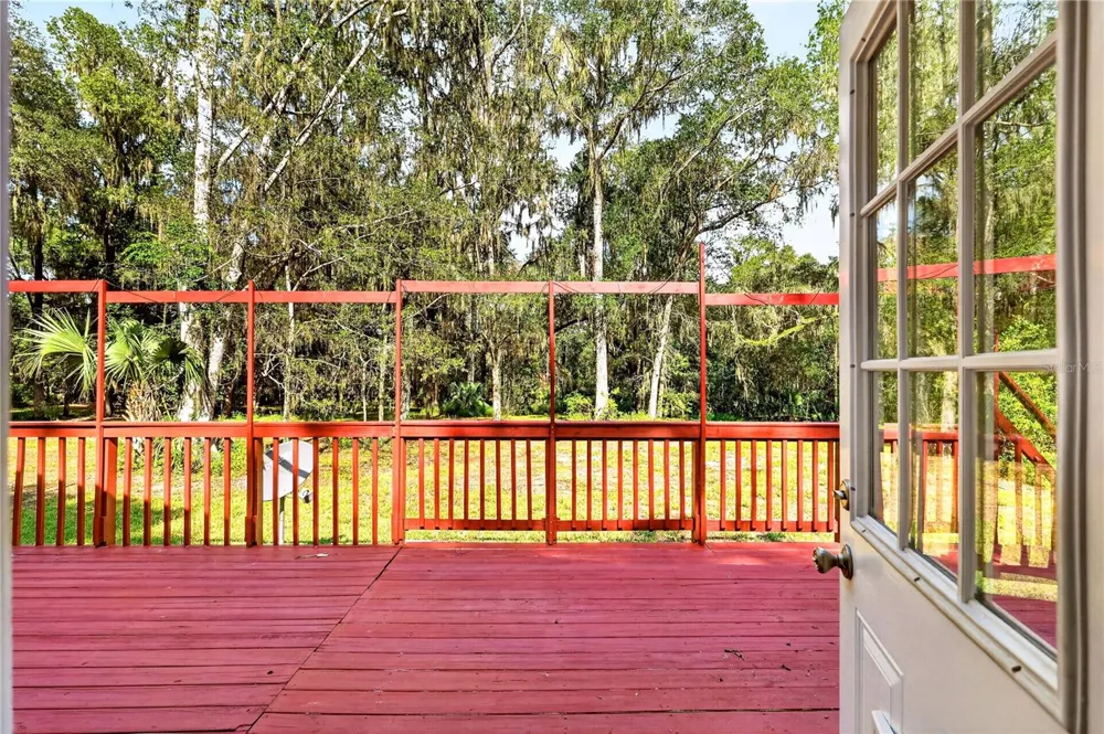 9350 NW 230 STREET Micanopy, FL 32667