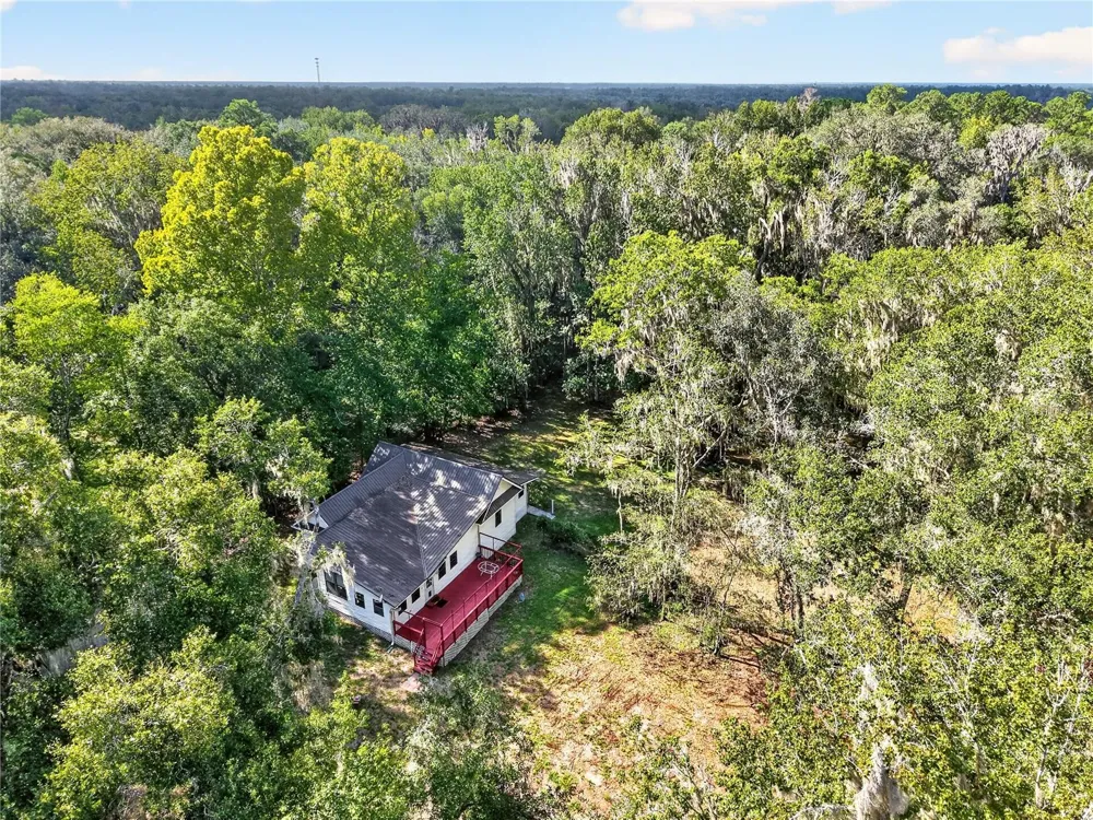 9350 NW 230 STREET Micanopy, FL 32667
