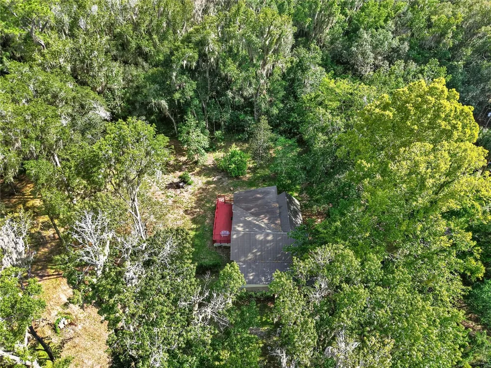 9350 NW 230 STREET Micanopy, FL 32667