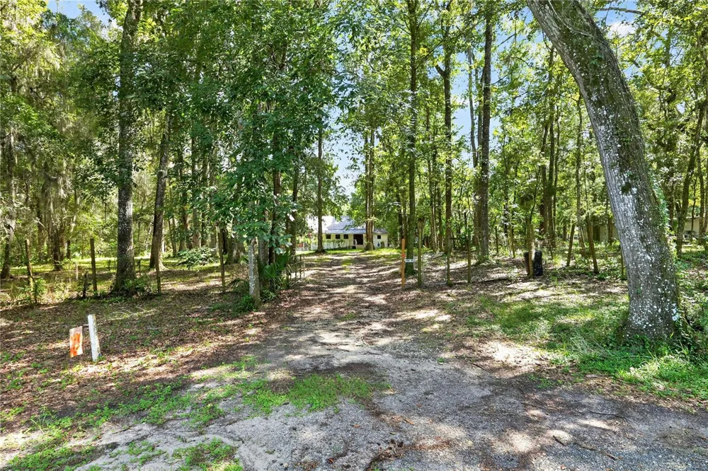 9350 NW 230 STREET Micanopy, FL 32667