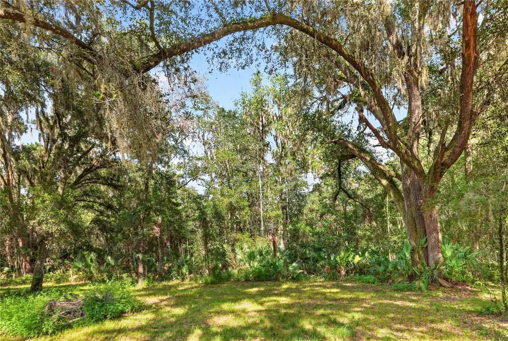 9350 NW 230 STREET Micanopy, FL 32667