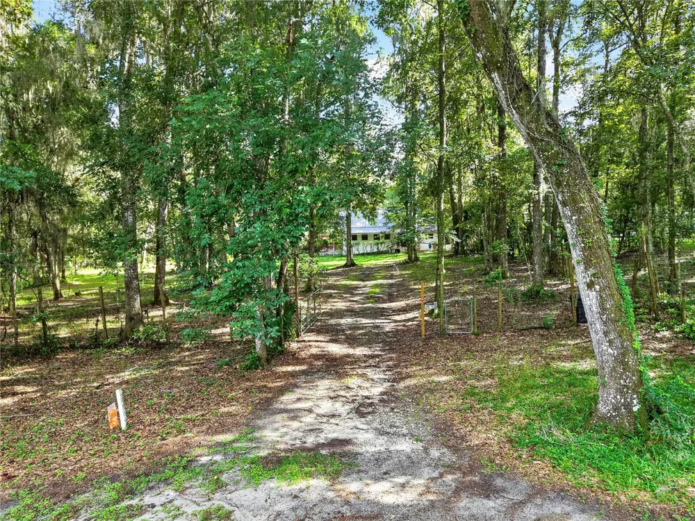 9350 NW 230 STREET Micanopy, FL 32667