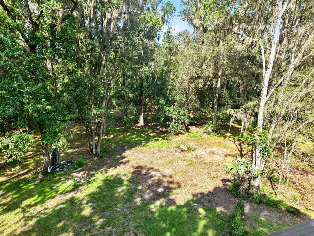 9350 NW 230 STREET Micanopy, FL 32667