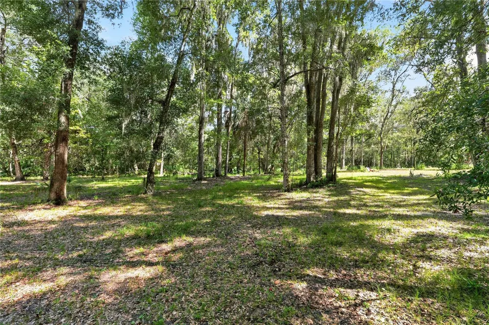 9350 NW 230 STREET Micanopy, FL 32667