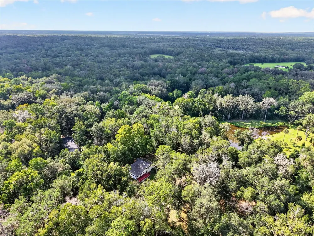9350 NW 230 STREET Micanopy, FL 32667