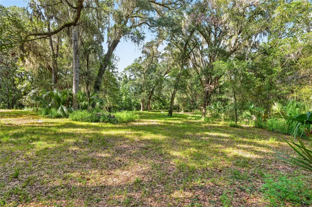 9350 NW 230 STREET Micanopy, FL 32667