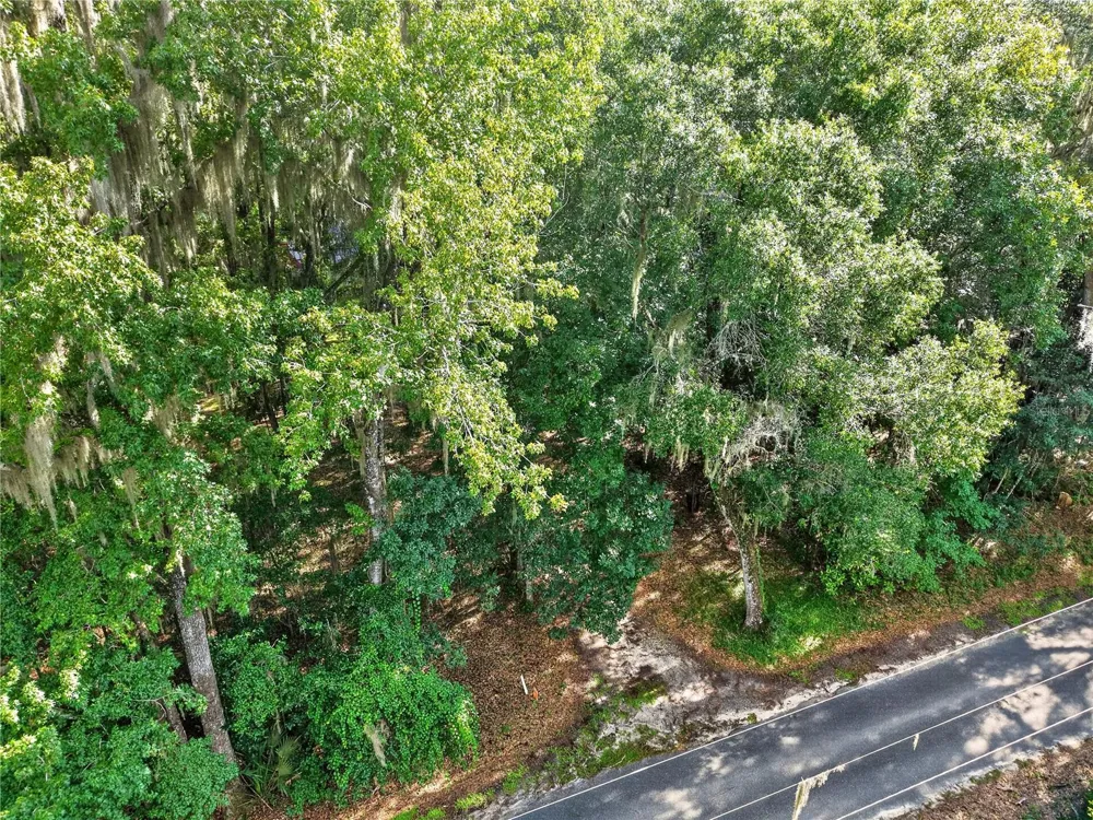 9350 NW 230 STREET Micanopy, FL 32667