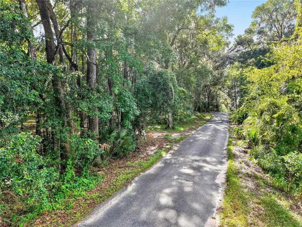 9350 NW 230 STREET Micanopy, FL 32667