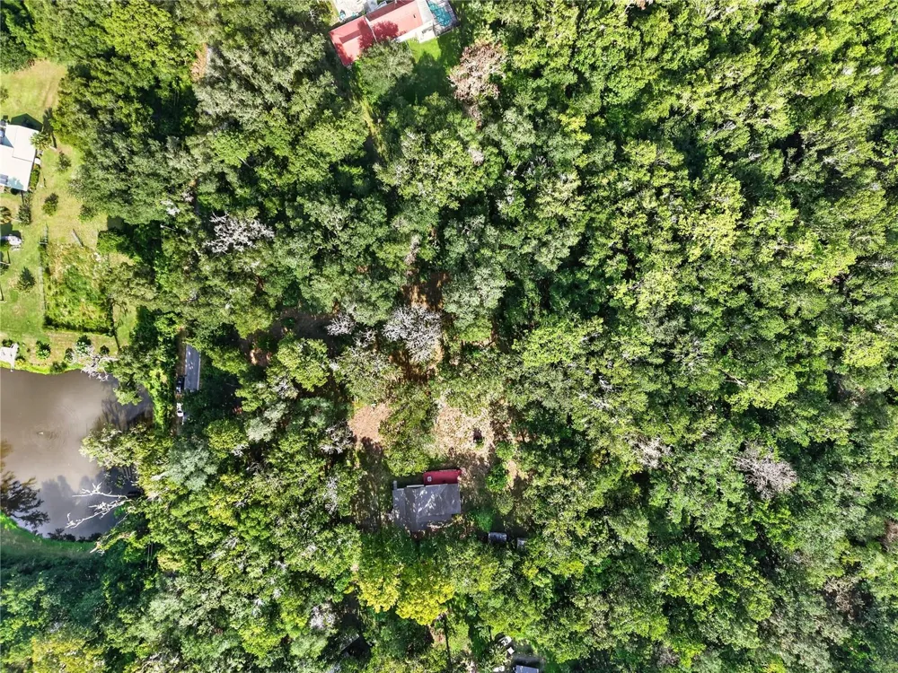 9350 NW 230 STREET Micanopy, FL 32667