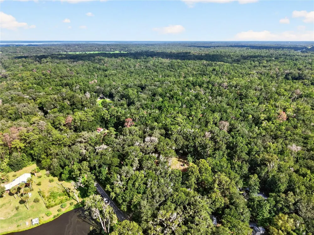 9350 NW 230 STREET Micanopy, FL 32667