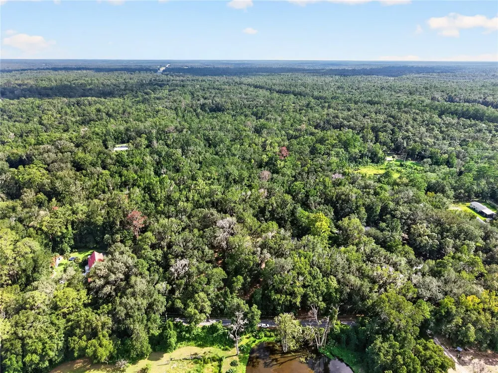 9350 NW 230 STREET Micanopy, FL 32667