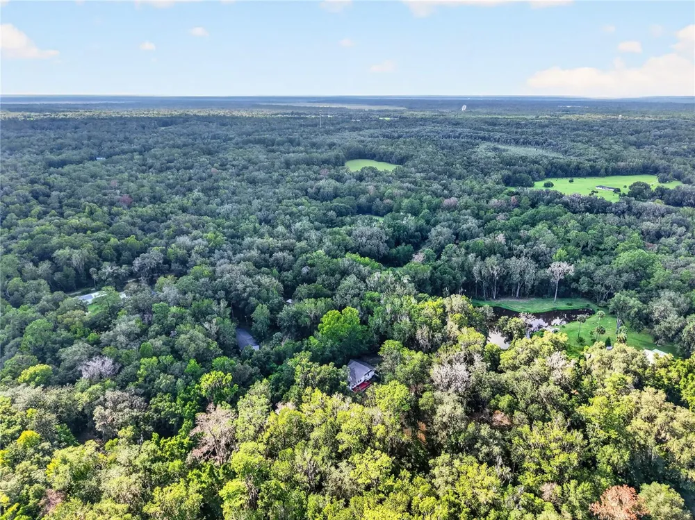 9350 NW 230 STREET Micanopy, FL 32667