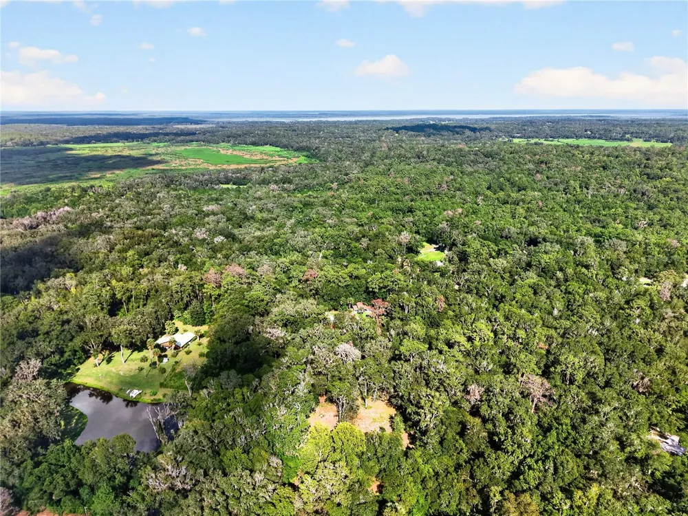 9350 NW 230 STREET Micanopy, FL 32667