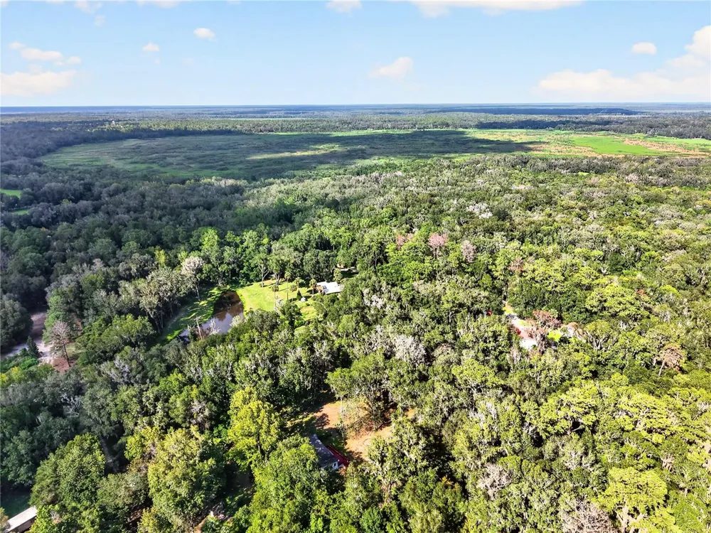 9350 NW 230 STREET Micanopy, FL 32667