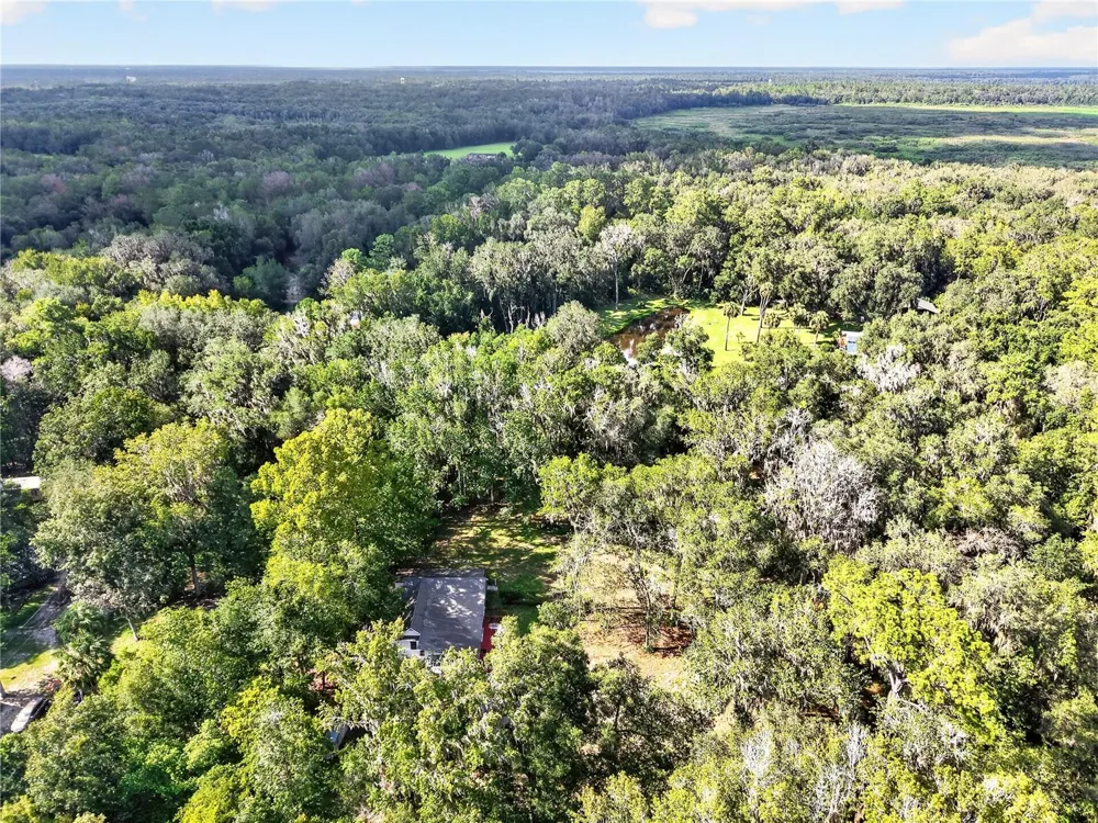 9350 NW 230 STREET Micanopy, FL 32667