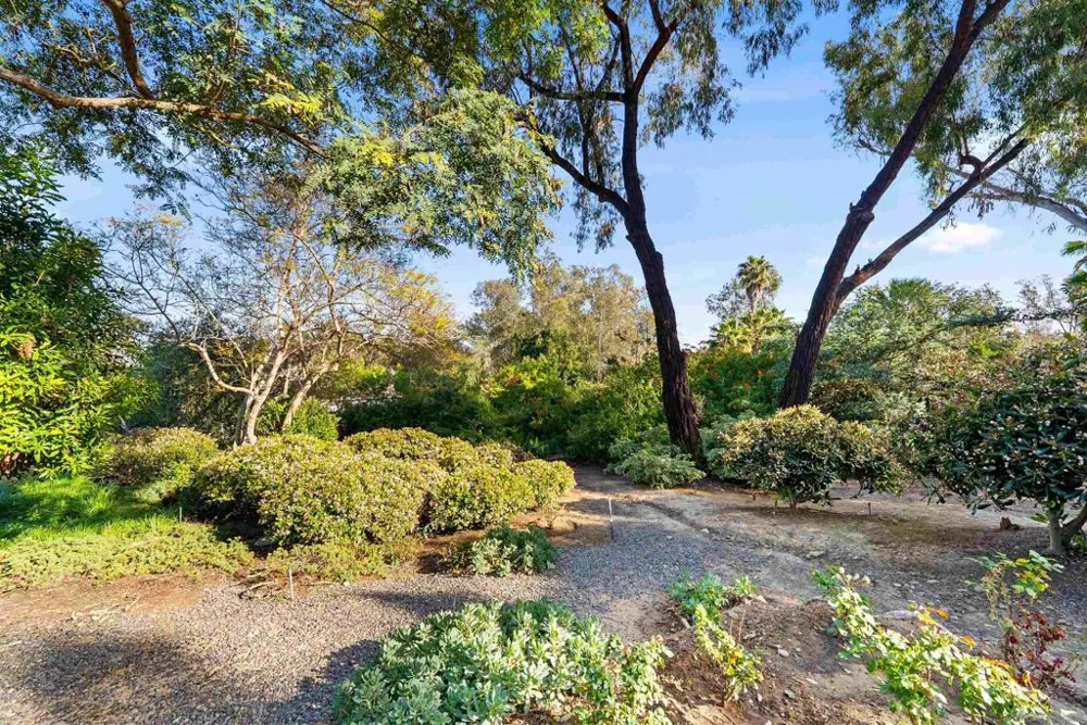 5491 Calzada del Bosque Rancho Santa Fe, CA 92067