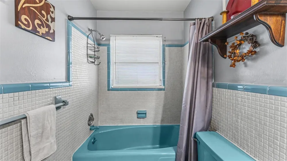 1733 FREDRICKSBURG AVENUE Lakeland, FL 33803
