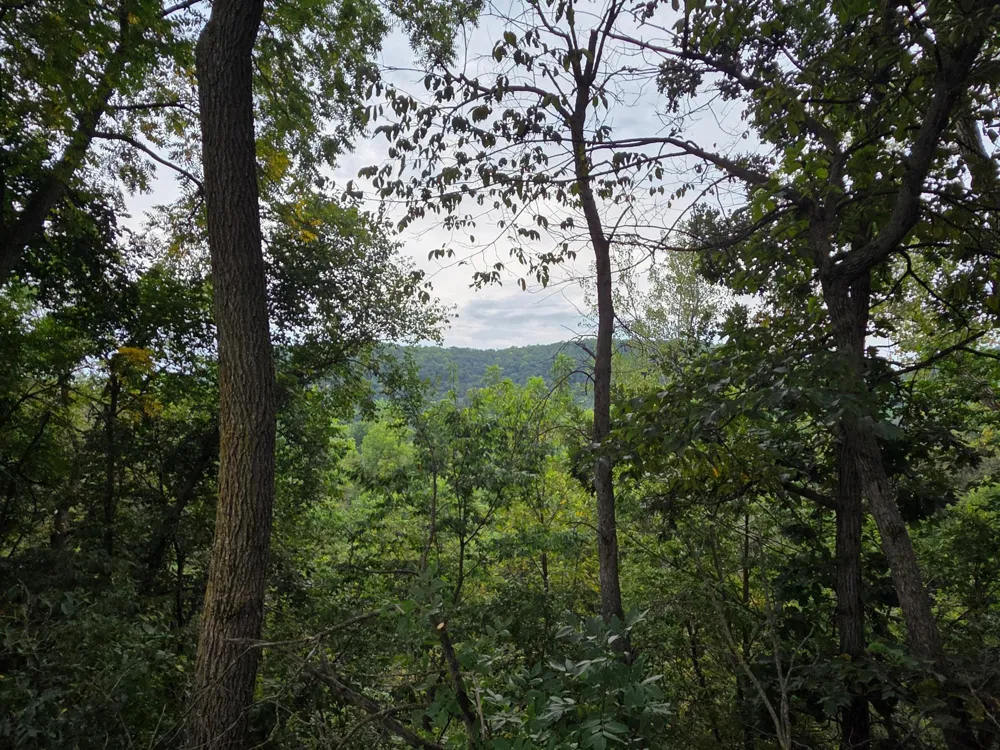 1107 Scenic View Court Rushford, MN 55971